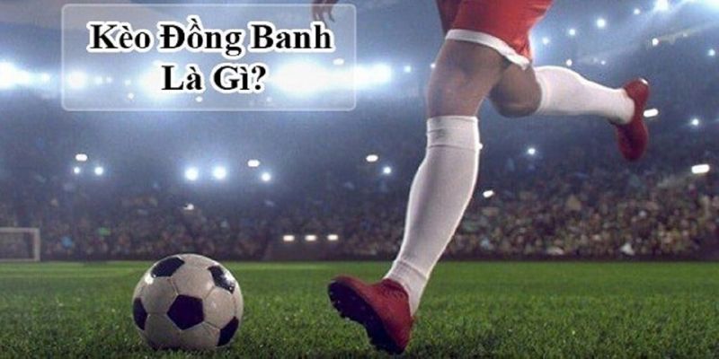 Tổng hợp kiến thức về kèo đồng banh